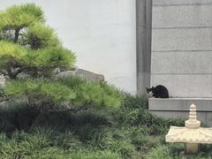 -西安华清御汤酒店