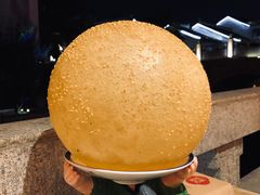 大麻球-吴越荣记·苏州菜·松鼠桂鱼(斜塘老街店)