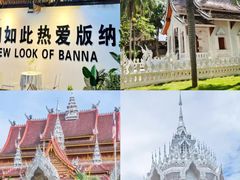 -西双版纳原始森林公园