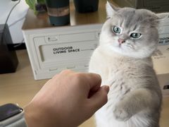 -博特宠物医院24h犬猫全科.骨科·异宠