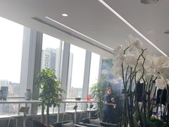 -马泷齿科·成都锦江置略马泷口腔门诊部(IFS国金中心店)