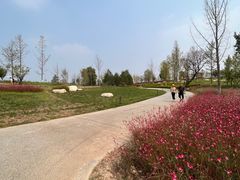 -汉长安城未央宫国家考古遗址公园