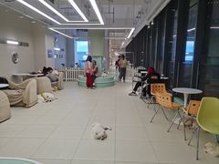 -怪兽屋·羊驼·猫咖·狗咖(俊华广场店)