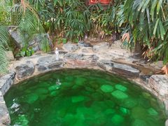 -中家鑫园温泉酒店鑫悦汤泉