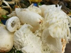 -菌海森林·非遗野生菌火锅(西山区滇池路摩根道店)