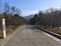-北京鹫峰国家森林公园