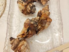 盐烤海螺-白仁仔· 活烤海鲜 宵夜(豫园店)