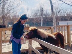 -水上乐园·欢乐世界