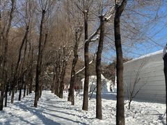 -长春市南湖公园