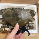 吃吃吃！天天就知道吃！