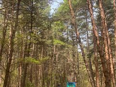 -帽儿山国家森林公园