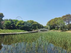 -蠡湖大桥公园