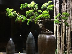-纽斯桑拿会所(天山店)