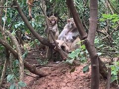 -黔灵山公园
