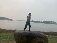-桐乡凤凰湖