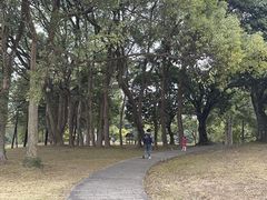 -福建鲤鱼洲酒店