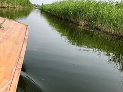 -白洋淀景区