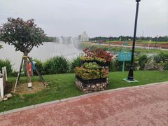 -荷兰花海