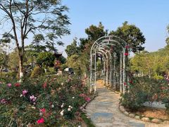 -东莞植物园