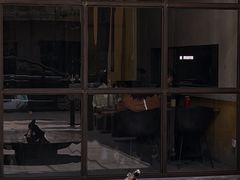 -来回·咖啡(钟村咖啡豆店)