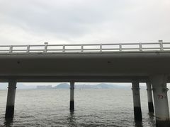 -演武大桥观景平台