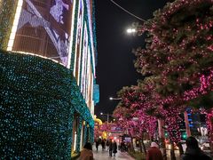 -新世界百货(明洞总店)