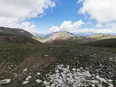-大冬树山垭口