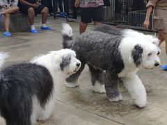 -TrueLove @ Neverland (Husky Cafe)