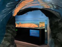 -国家自然博物馆