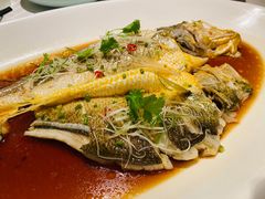-马仕玖煲·融合菜·酥不腻烤鸭(人大店)