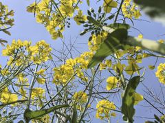 -上海交通大学(闵行校区)