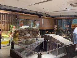 -造物庄园 萌宠纪(苏州湾歌林公园店)