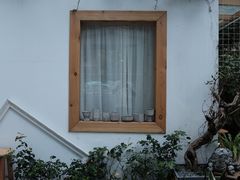 -拾壹cafe·工作室