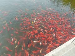 -大连植物园