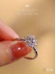 -VE DIAMOND·天然&培育钻石定制