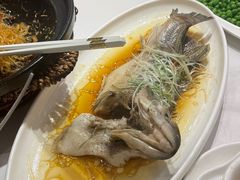 -刘胖子家常菜·蹄花焖藕(中南店)