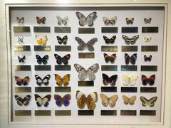 -上海昆虫博物馆