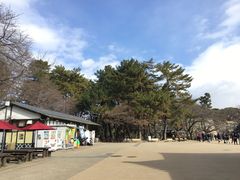 -名古屋城