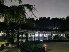 -大关公园
