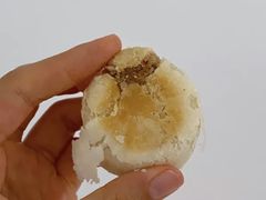 东坡肉酥-南宋胡记(杭州体育场路店)