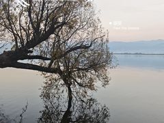 -西昌邛海湾柏樾酒店(原邛海湾柏栎度假酒店)