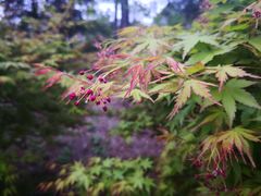 -南京市无想山景区