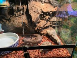 -酷嗒动物文化乐园(cutezoo西溪乐天城店)