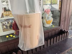 -猫的魔法密林(衣裳街店)