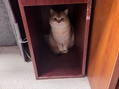 -宠福鑫动物医院(城北分院)