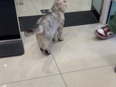 -悦宠凯宝动物医院·牙科·皮肤科(朝阳北路店)