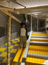 -奈尔宝·儿童乐园·亲子餐厅(苏州大悦城店)