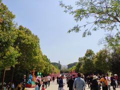 -嵖岈山风景区