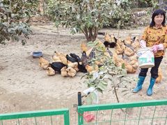 -东江客家情食府