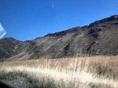 -新疆天山野生动物园